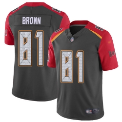 Nike Tampa Bay Buccaneers 81 Antonio Brown Gray Men Stitched NFL Limited Inverted Legend Jersey