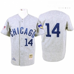 Mens Mitchell and Ness Chicago Cubs 14 Ernie Banks Replica Grey Throwback MLB Jersey