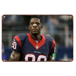 Houston Texans Aluminum Sign 12x8 Inch Andre Johnson  001