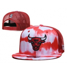 Chicago Bulls Snapback Cap 24H121