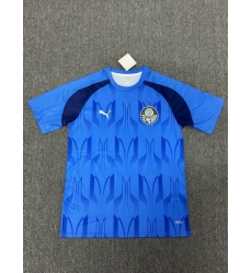 Men 2024 2025 Soccer Jersey Parma Blue