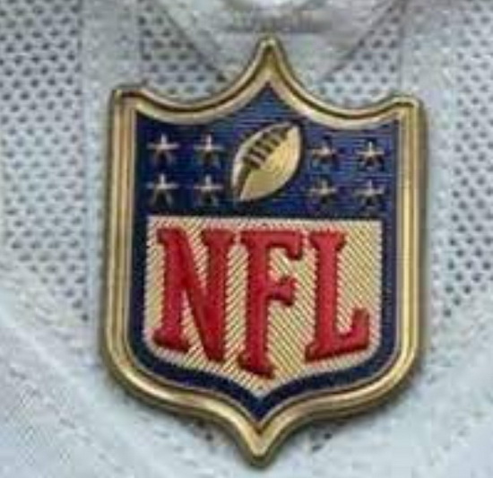 Youth Philadelphia Eagles Gold NFL Logo Patch Biaog